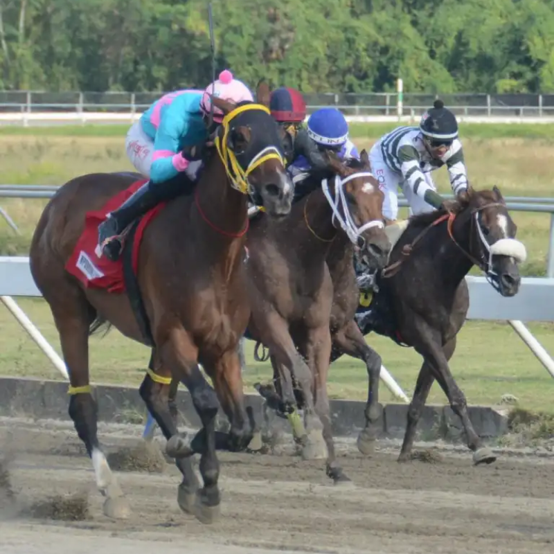 Carreras Quinto Centenario