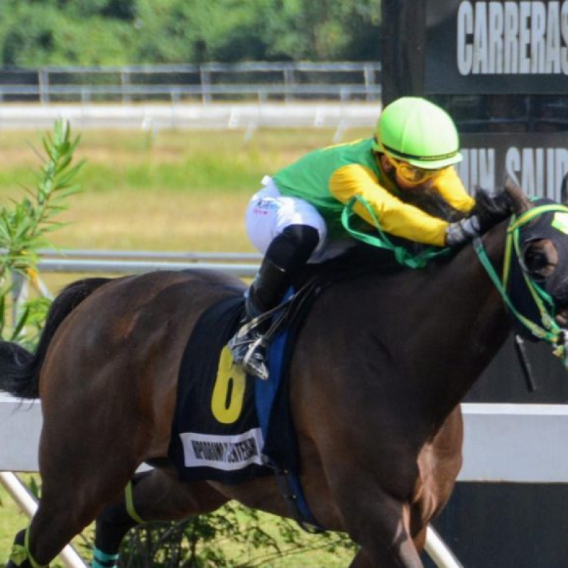 El caballo Roaring Thuner