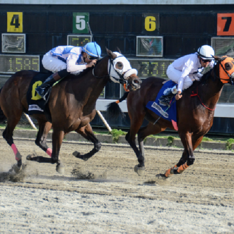 El pool paga RD$32,268.00 en el Hipódromo Quinto Centenario