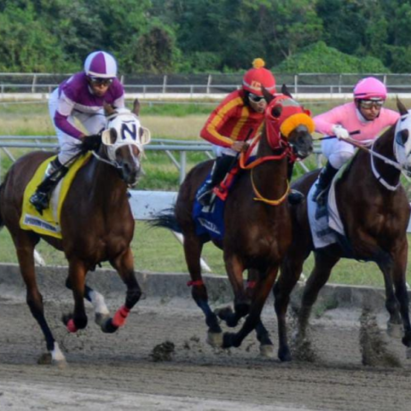 Hipódromo Quinto Centenario