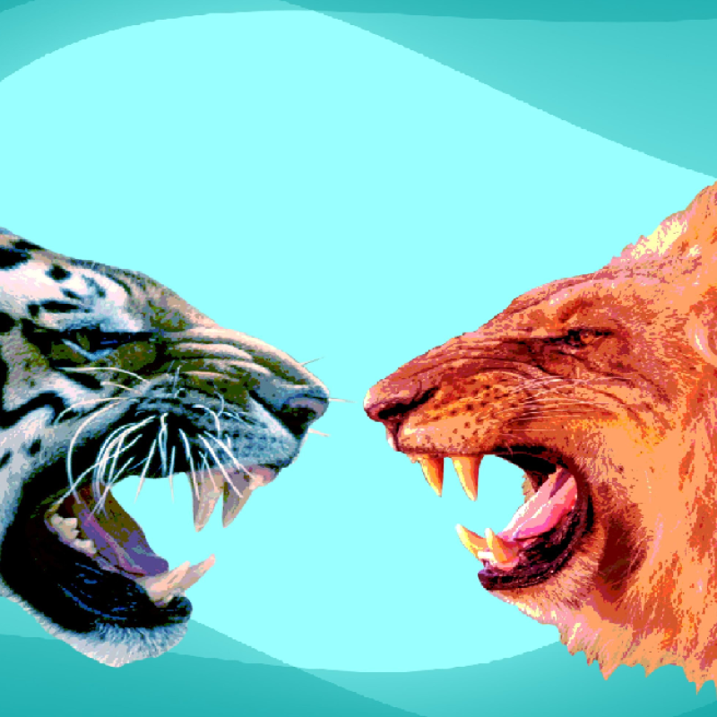 Licey y Escogido