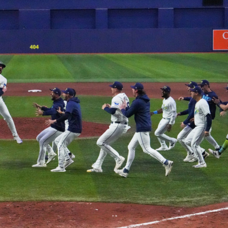 Los Rays de Tampa