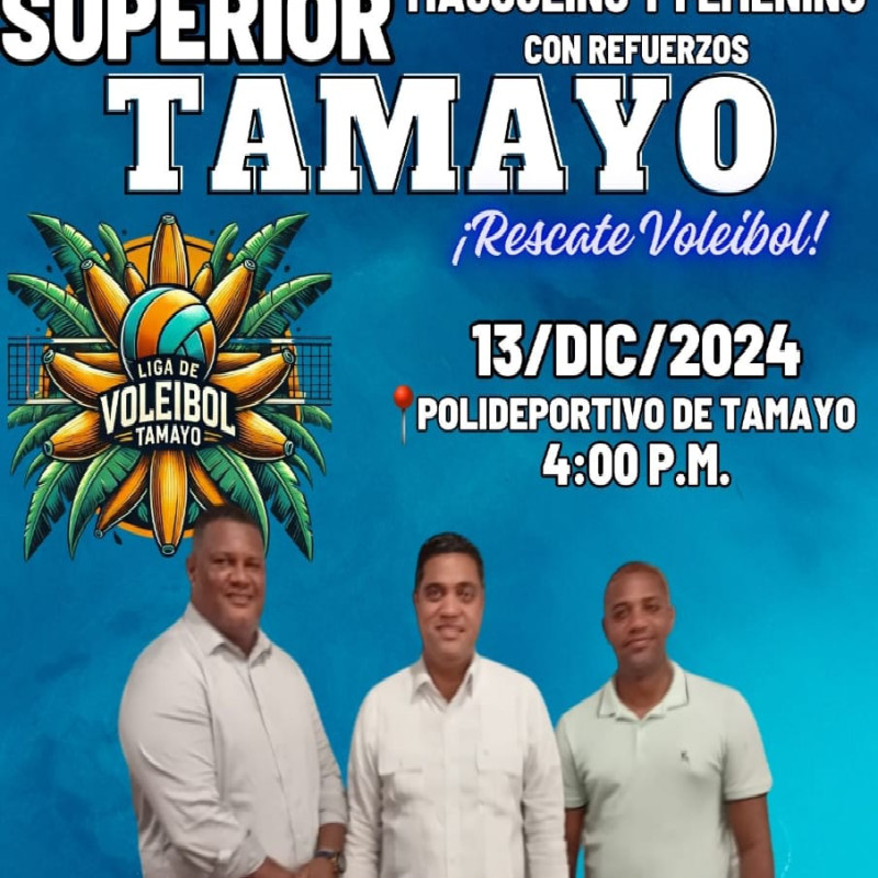 TORNEO DE VOLEIBOL