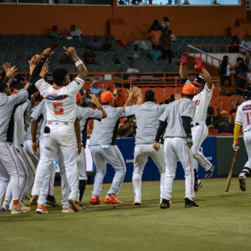 Toros del Este