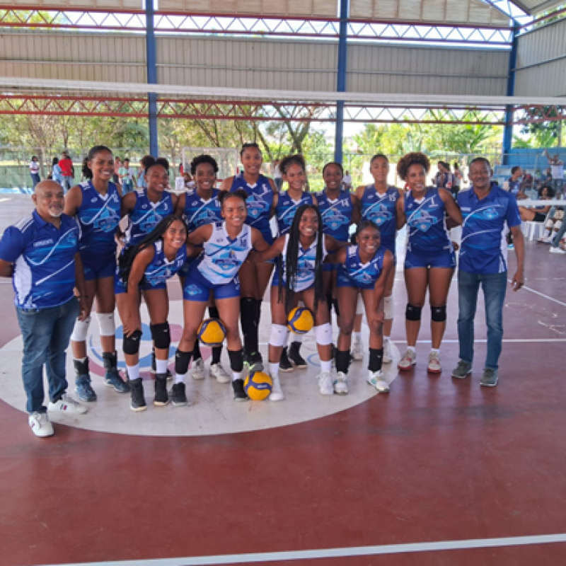 Voleibol Superior