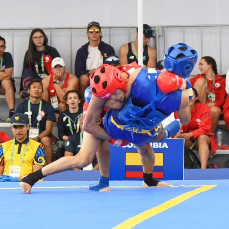 WUSHU 1